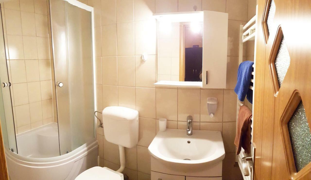 Vila Alfa Dumbrava Sibiu Extérieur photo